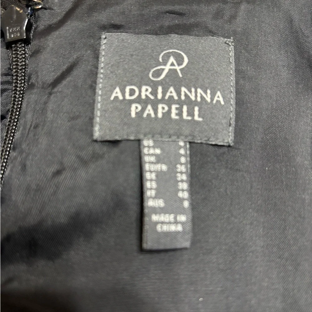 Adrianna Papell Black Dress with Red Floral Accents - Picture 2 of 10